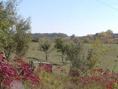 Iowa countryside