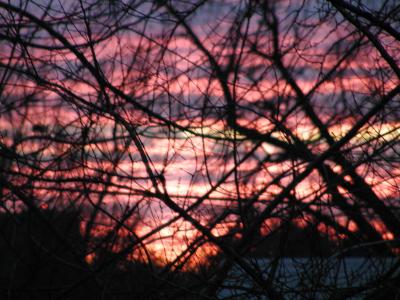 Winter Sunset