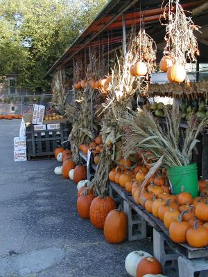 Farmers Market.jpg