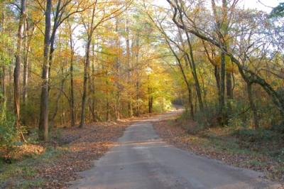 Fall on a country rd.jpg