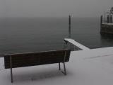 Snowy on the Lake