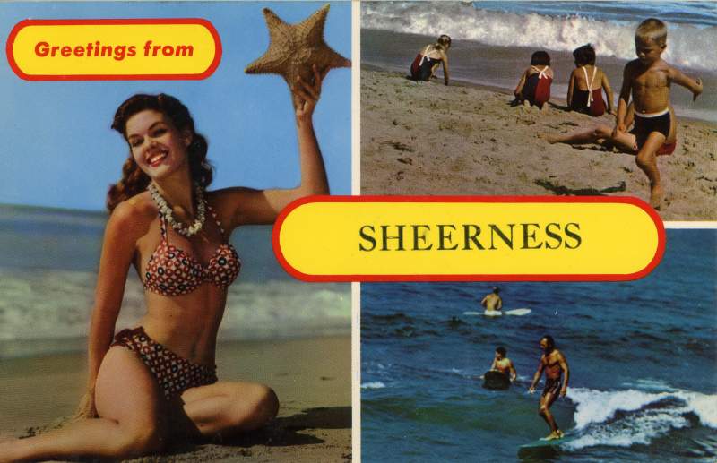 Greetings (882)