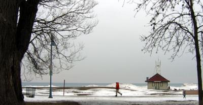 along the boardwalk