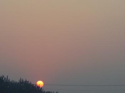 DSC04950.JPG
