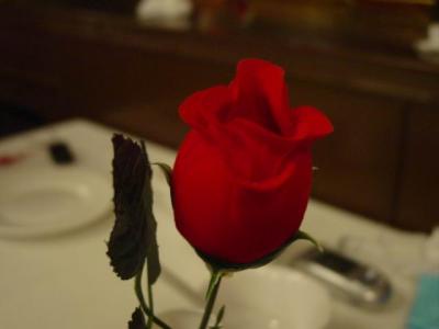 DSC07589.jpg