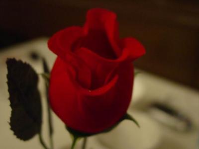 DSC07590.jpg