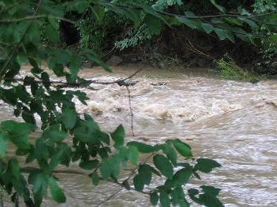 Swollen Creek