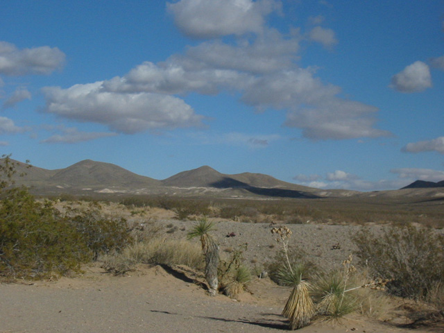 new mexico_02.JPG