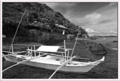Shark Tagging @ Eagle Point, Batangas  in BLACK &WHITE