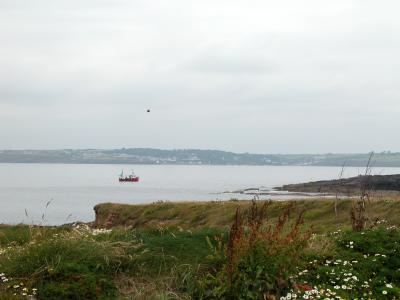 Aug04_Ireland 090.jpg