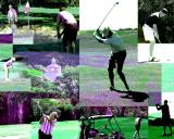 On The Course, artist compilation