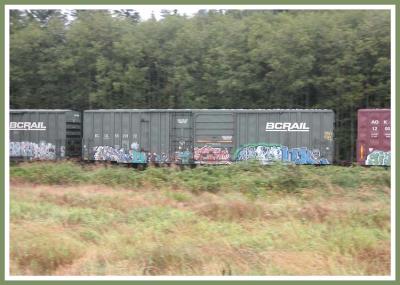 Graffiti covered BC Rail boxcar.
