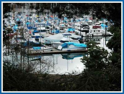 Peeking at the marina.