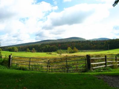 View across field