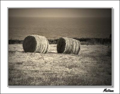 Cornish Landscape