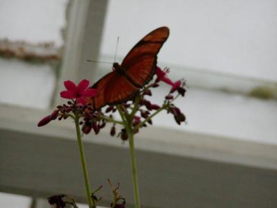 P1010657.JPG