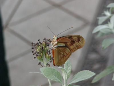 P1010671.jpg