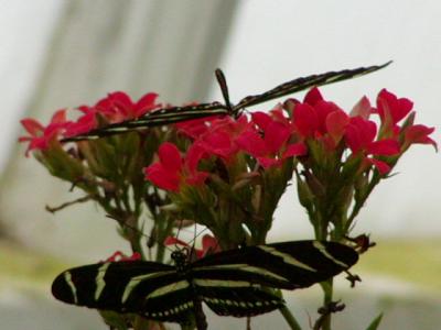 P1010676.JPG