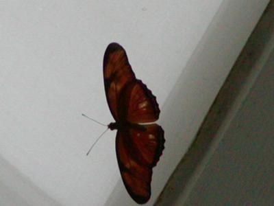 P1010705.JPG