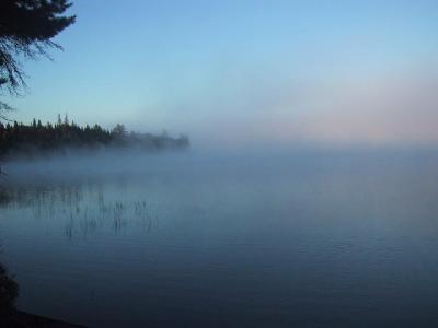 Misty morning.jpg