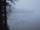 Misty lake morning.jpg