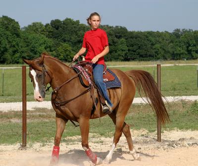 IMG_9164.jpg