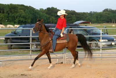 IMG_9268.jpg