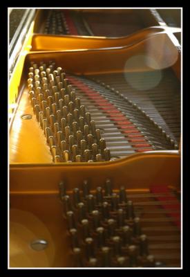 u36/mdaveau/medium/34599202._Piano0001.jpg