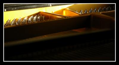 u36/mdaveau/medium/34599204._Piano0003.jpg