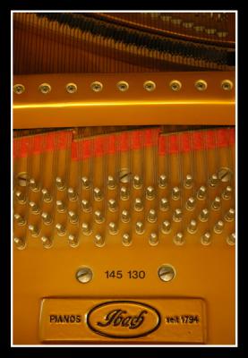 u36/mdaveau/medium/34599209._Piano0008.jpg