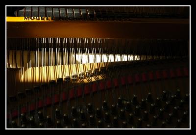 u36/mdaveau/medium/34599213._Piano0013.jpg