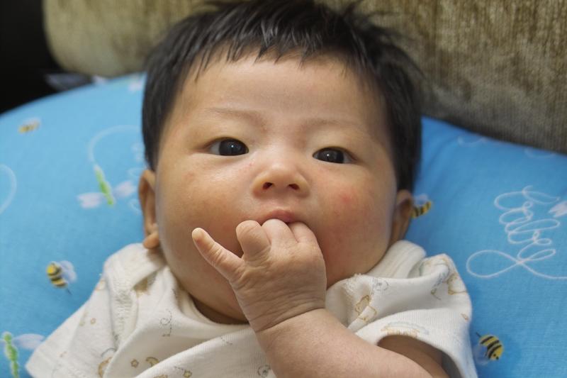 IMG01439.jpg