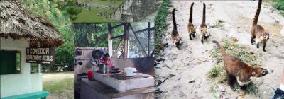  Tikal's Open-kitchen