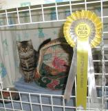 Huldas result - Ex1 and Nominated for Best in Show