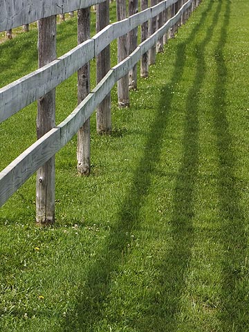 Fence Shadows