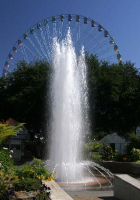 One of the Many Fountains