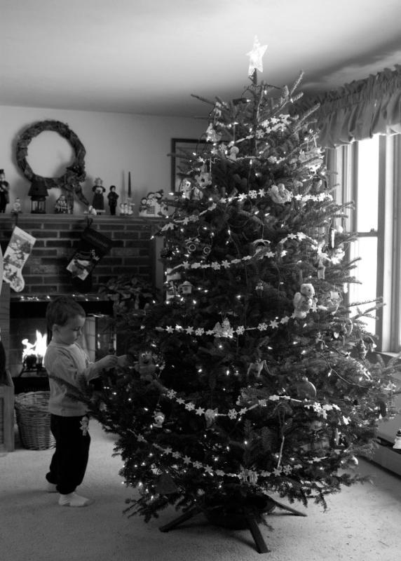 DSC_3272_BW.jpg