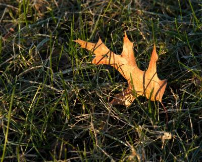 DSC_3160.jpg