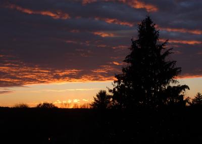 DSC_3206.jpg