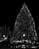 DSC_3225_BW.jpg