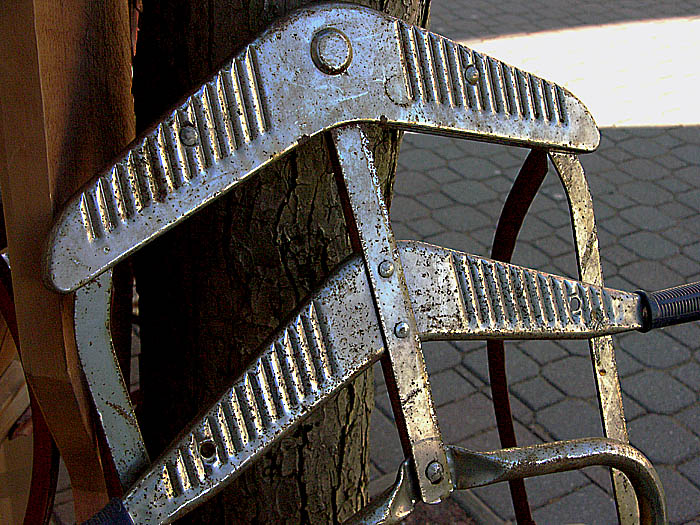 Sled