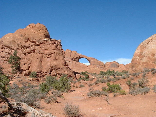 DSCF0968.JPG