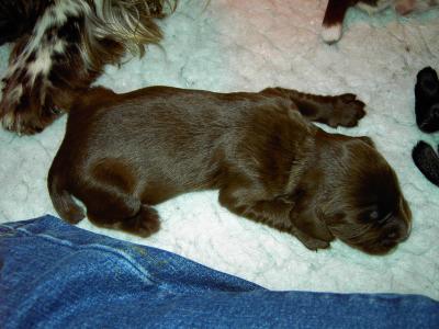 PICT0198.JPG