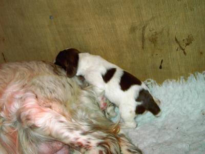 PICT0203.JPG