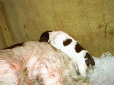 PICT0204.JPG