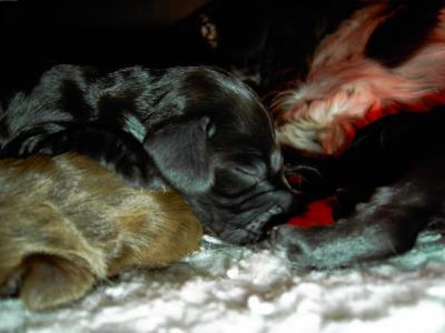 PICT0216.JPG