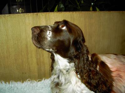 PICT0217.JPG