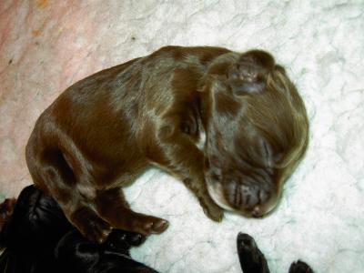 PICT0227.JPG