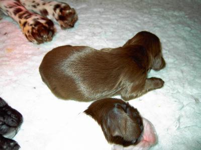PICT0232.JPG