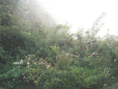 A Misty Morning In Late October 2001